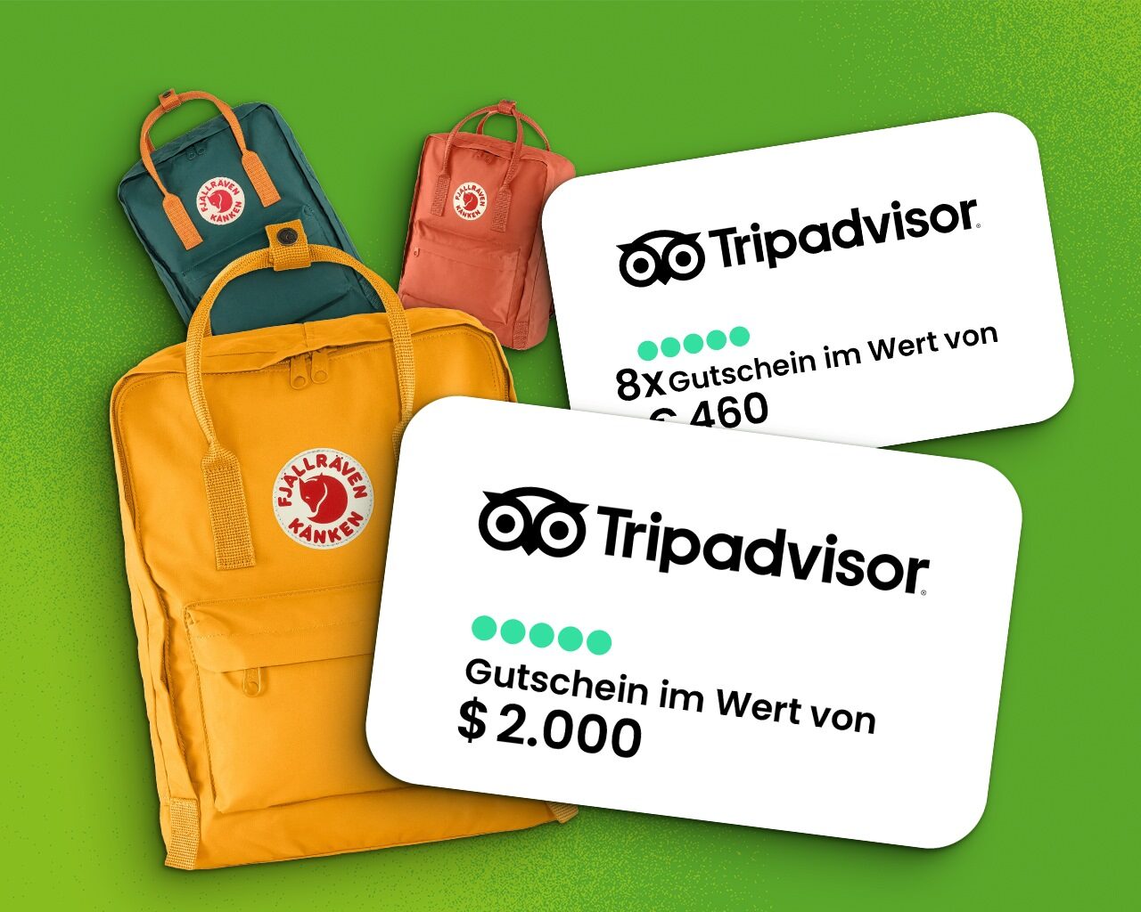 Fuzetea x Tripadvisor