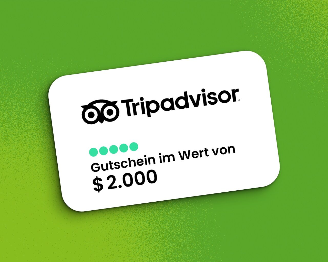 Fuzetea x Tripadvisor