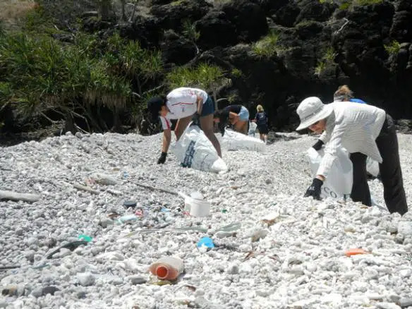 A group of people collecting empty plastic bottles
