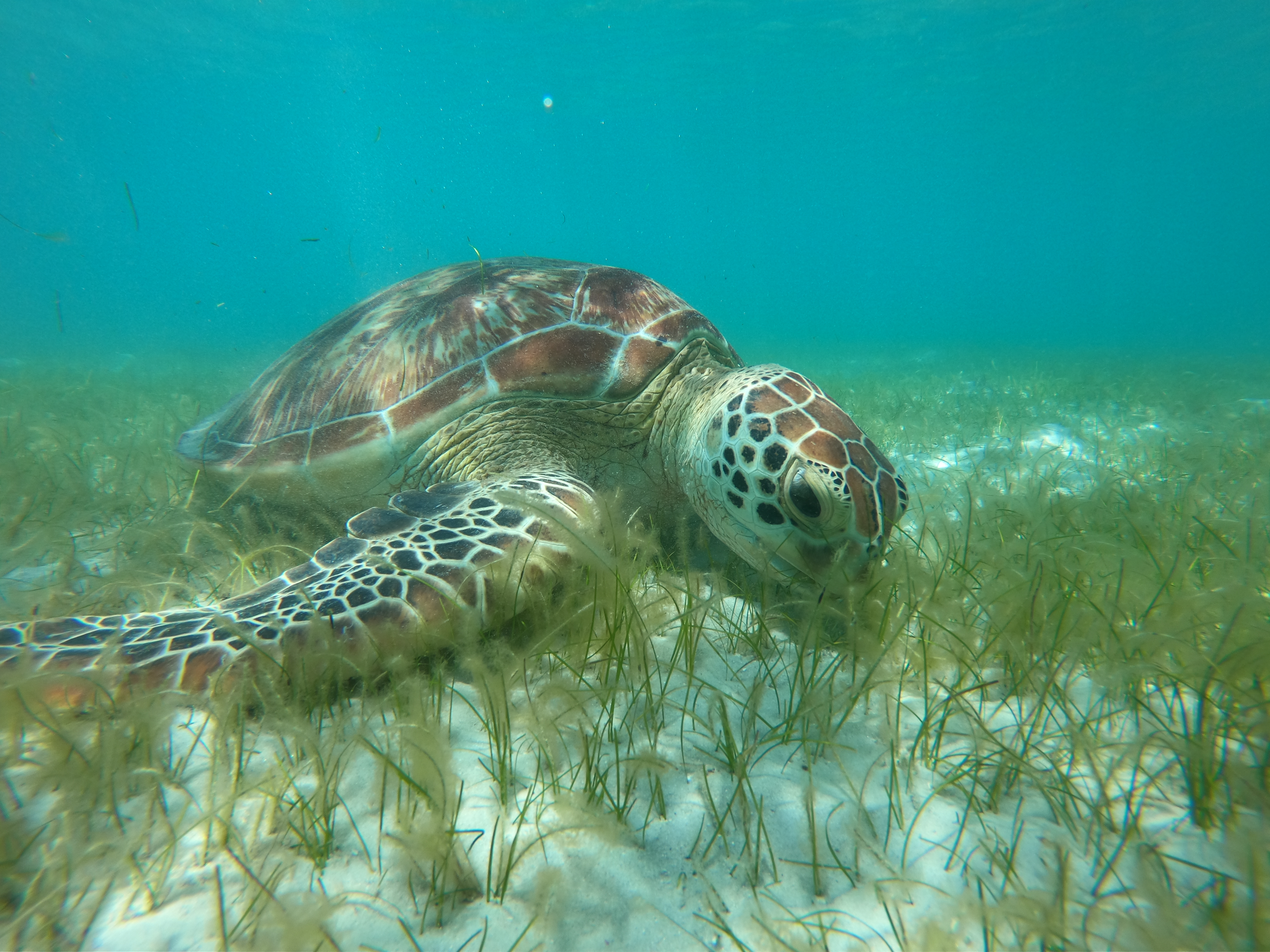 DCIM\100GOPRO\GOPR0689.JPG
