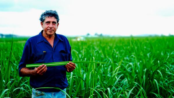 deguara australia sustainable agriculture field crop 604