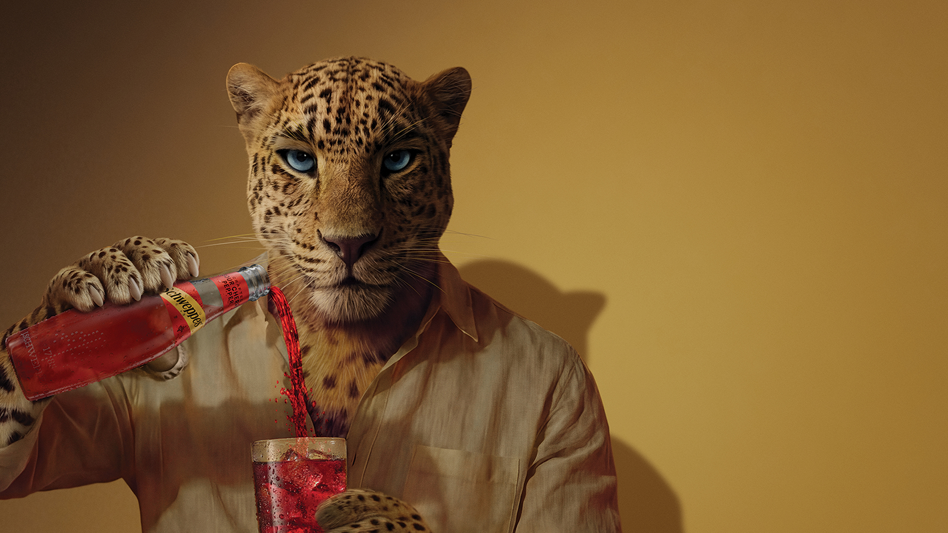Leopard sipa Schweppes Crafted Cherry Pepper. 