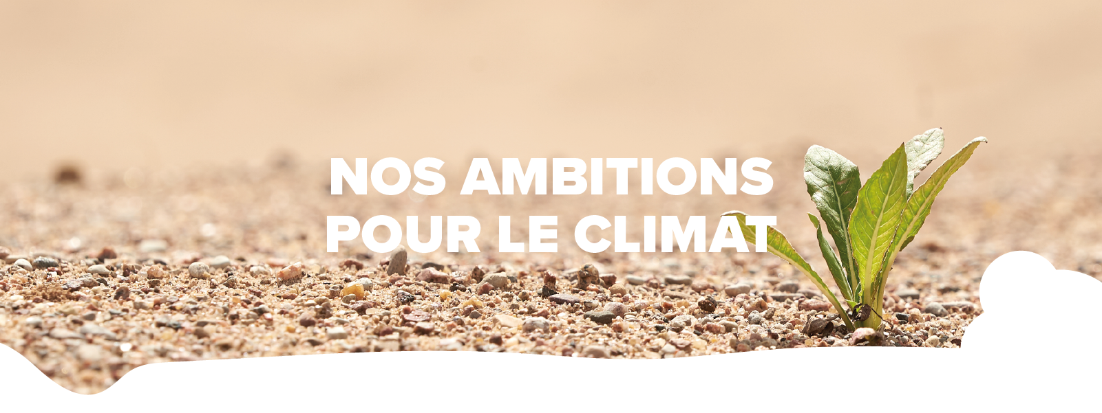 Les objectifs de Coca-Cola pour le climat