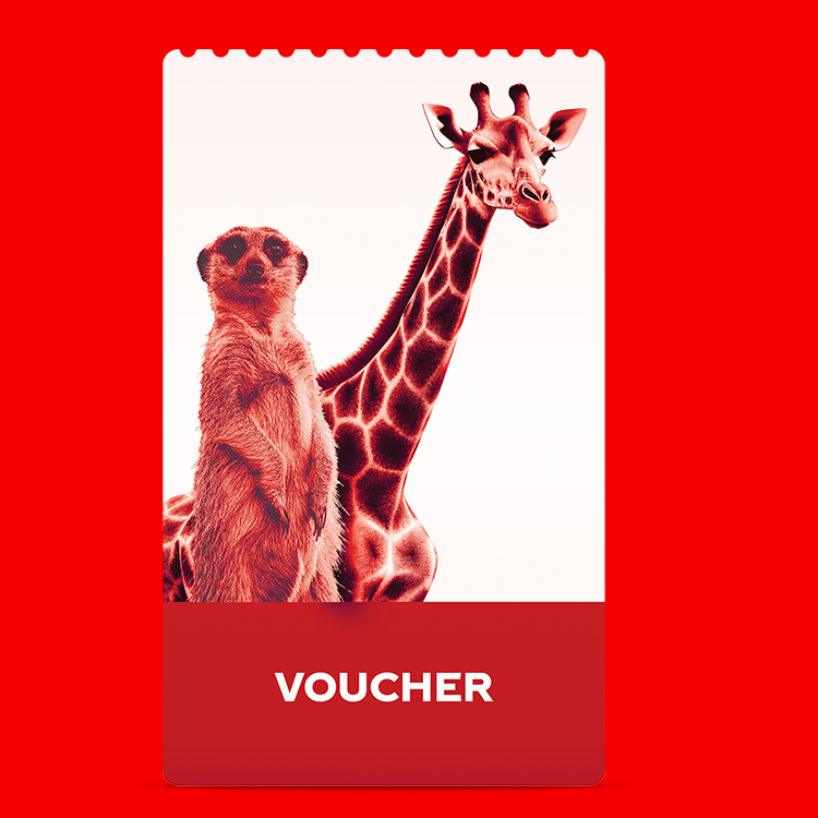 Bon rouge avec une illustration d’un suricate et d’une girafe sur fond clair. En bas, le mot « VOUCHER » apparaît en lettres blanches sur fond rouge.