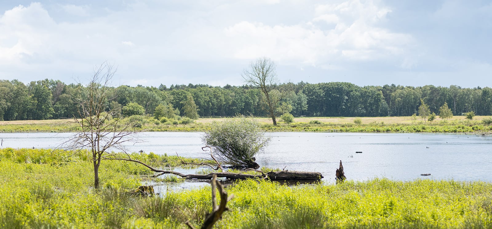 Vallei van de Zwarte Beek