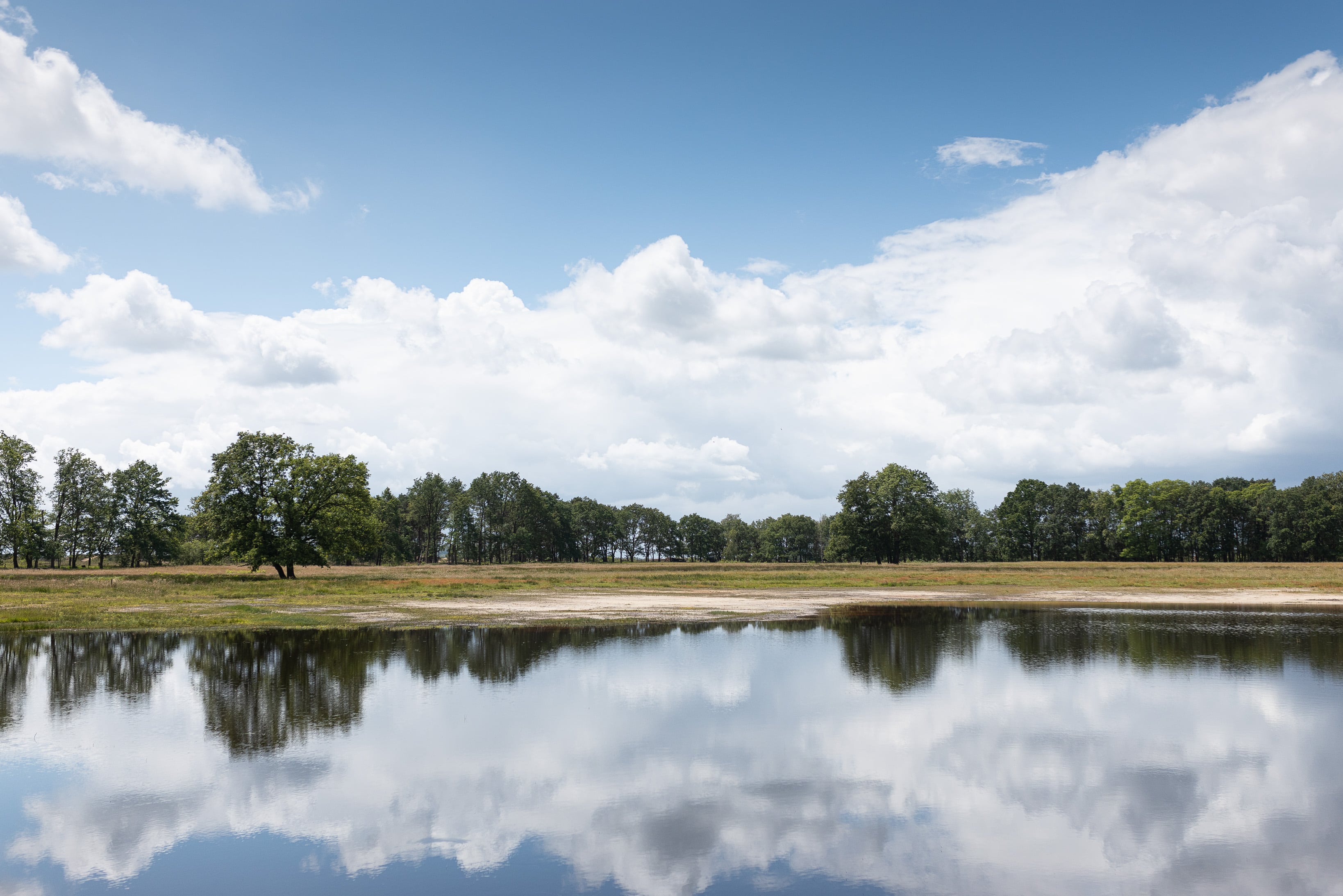 Vallei van de Zwarte Beek