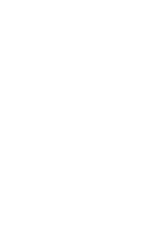 Visual with the date 29th of May