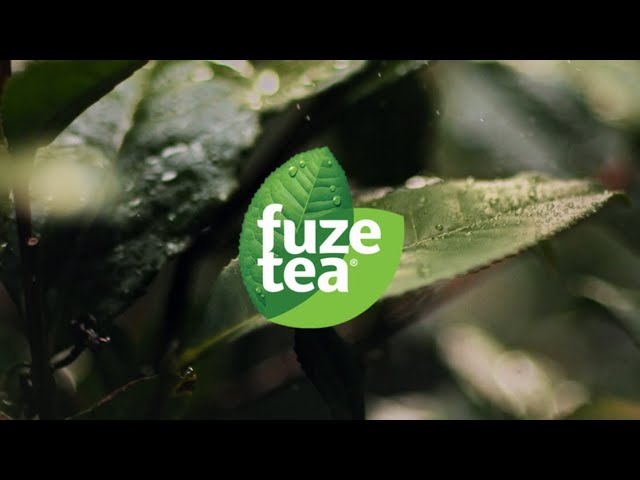 fuzetea