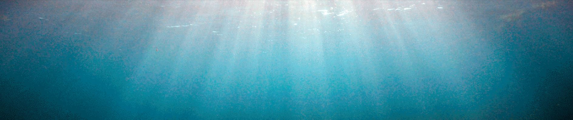 Imagen tomada debajo del agua