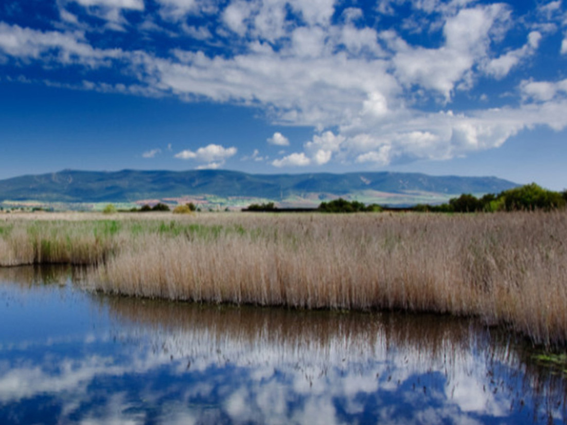 Uma vista paronâmica de Tablas de Daimiel