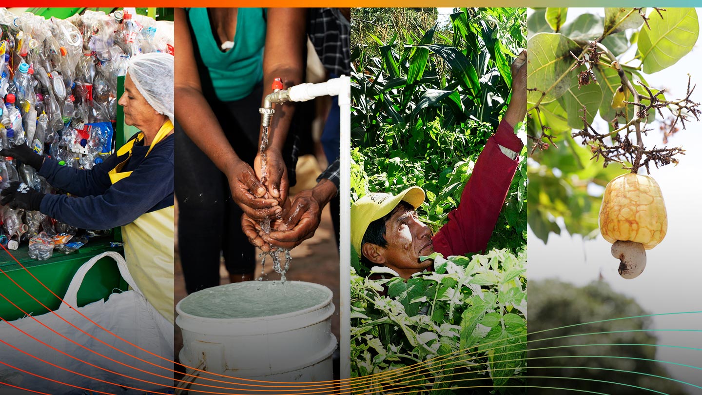 Imagem dividida em 4 partes iguais. A primeira mostra uma mulher reciclando garrafas, a segunda duas pessoas lavando as mãos, a terceira uma catadora e a quarta uma fruta de uma árvore.