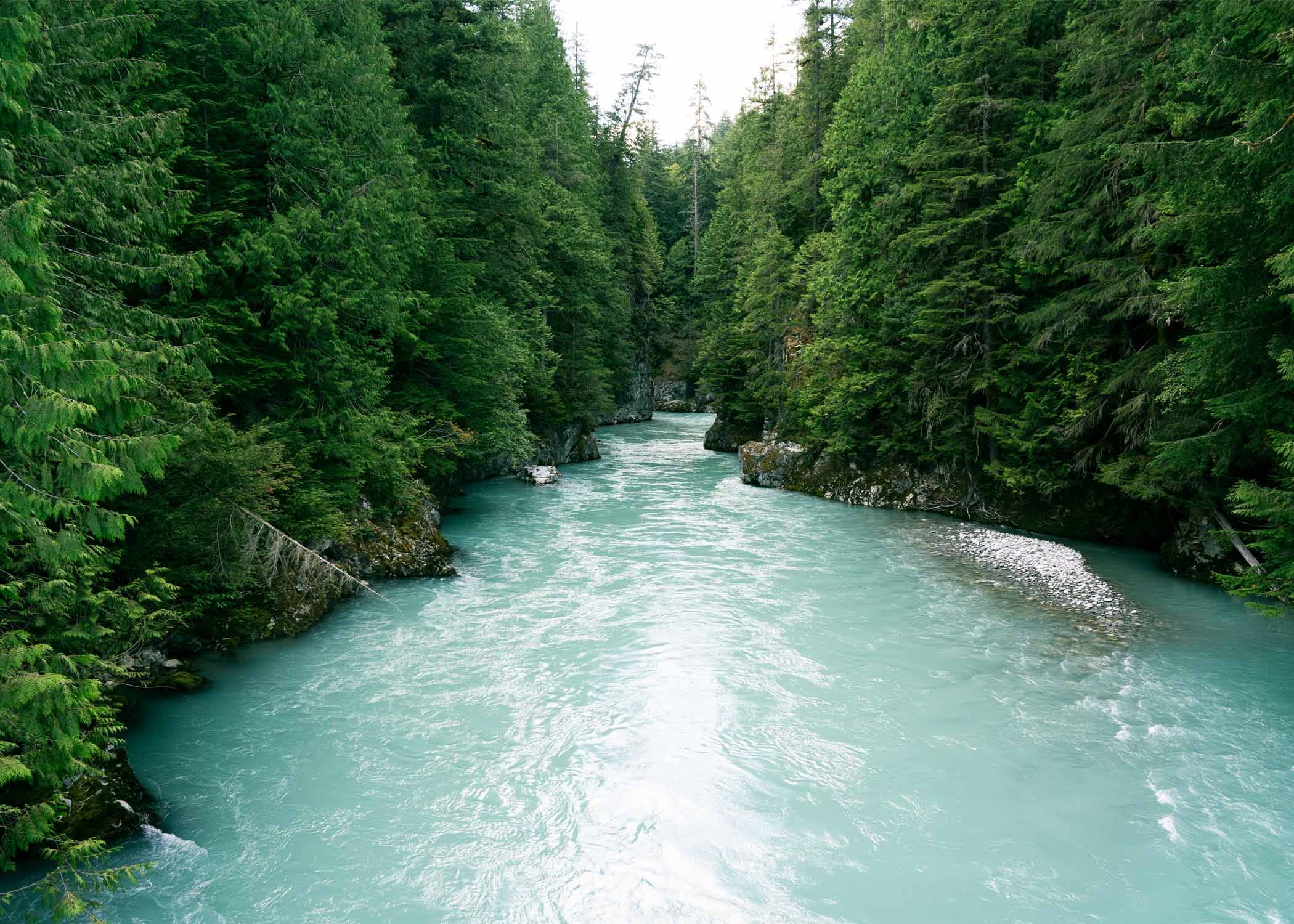 Blue river flowing down stream alongside large green trees 
