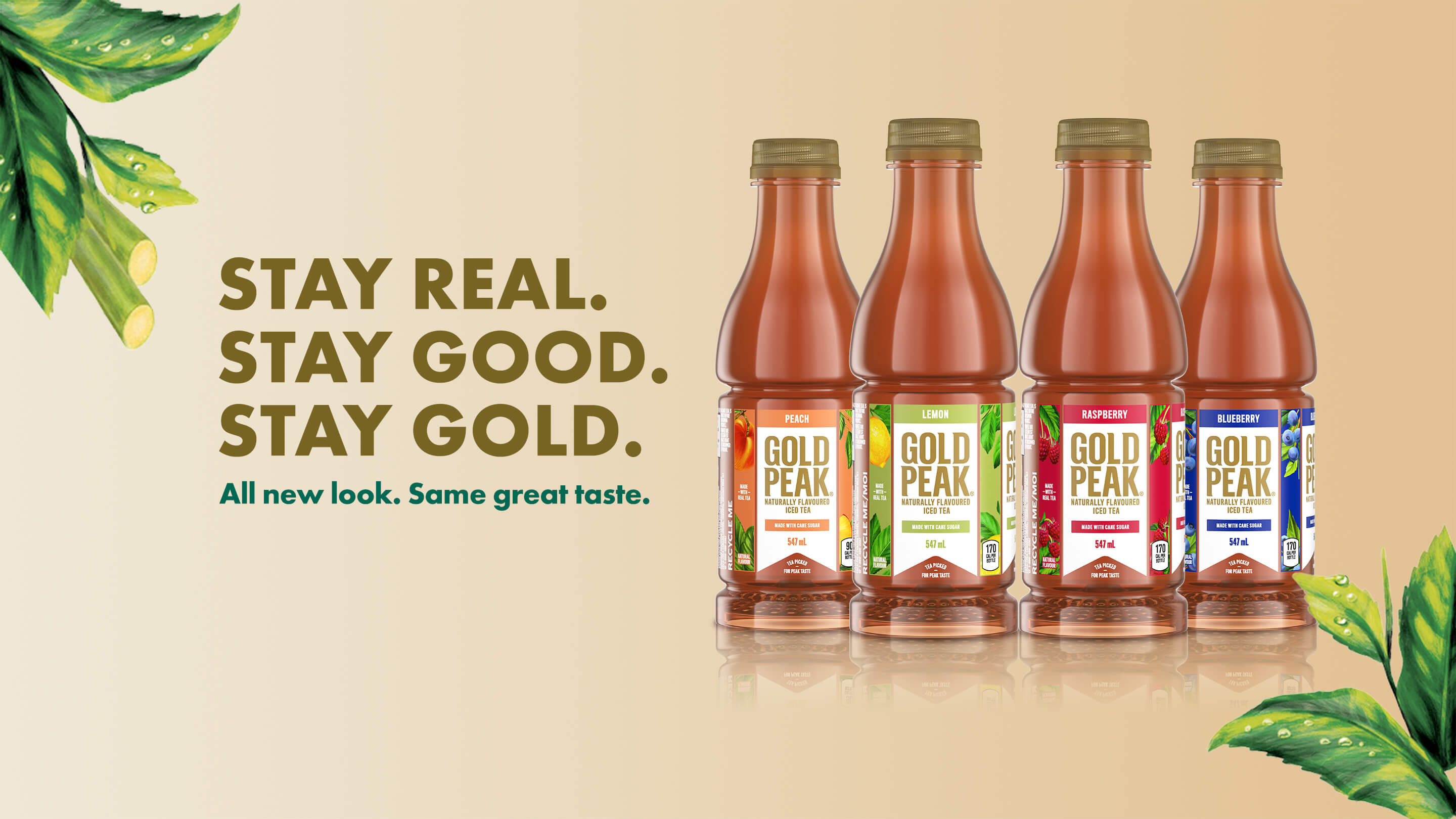 Gold Peak Tea. Stay Real. Stay Good. Stay Gold. All new look. Same great taste.