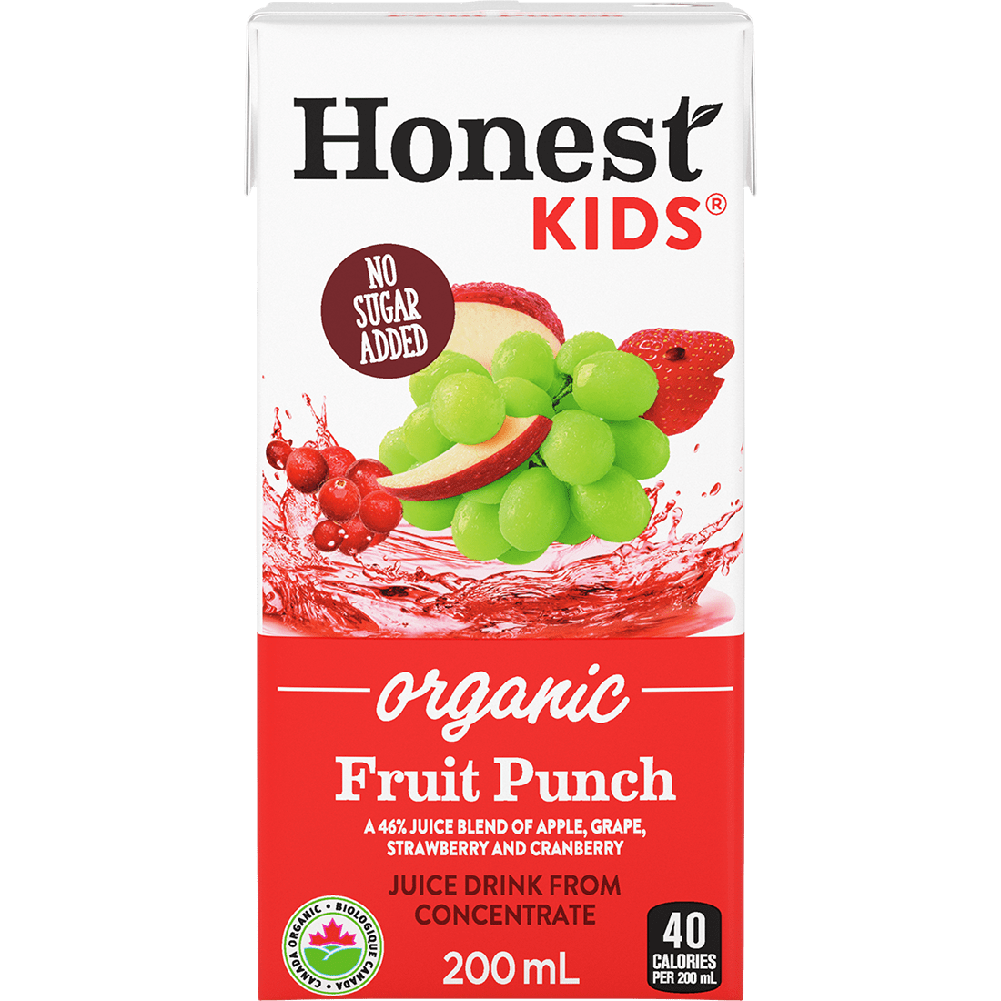 Honest Kids Fruit Punch 200 mL juice box