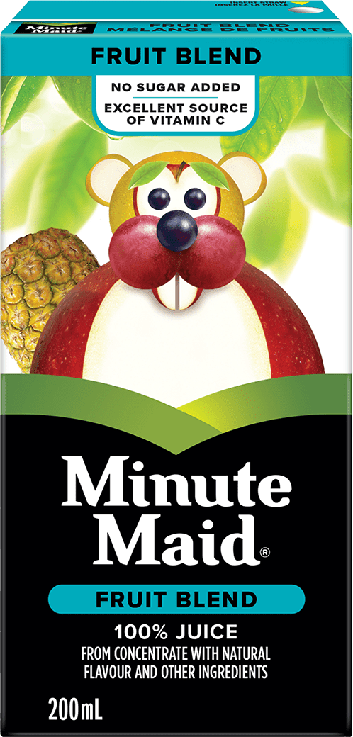 Minute maid Fruit Blend 200 mL tetra box