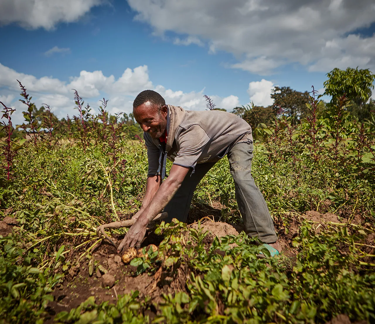 Un homme souriant tout en travaillant dans une zone agricole