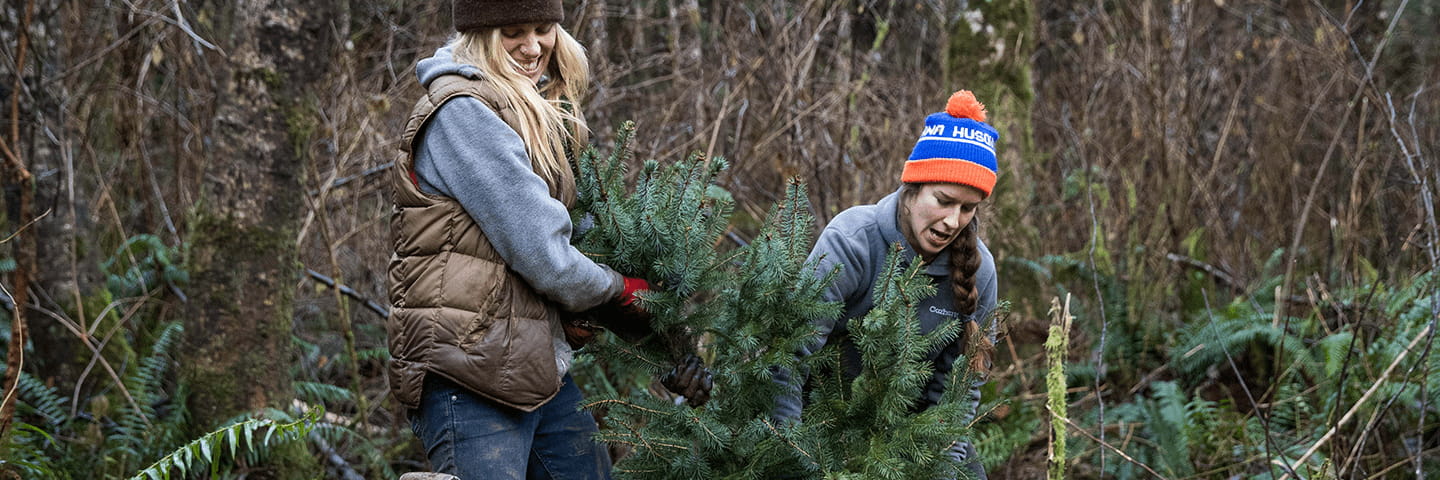 Deux femmes dans la forêt transportant un petit arbre