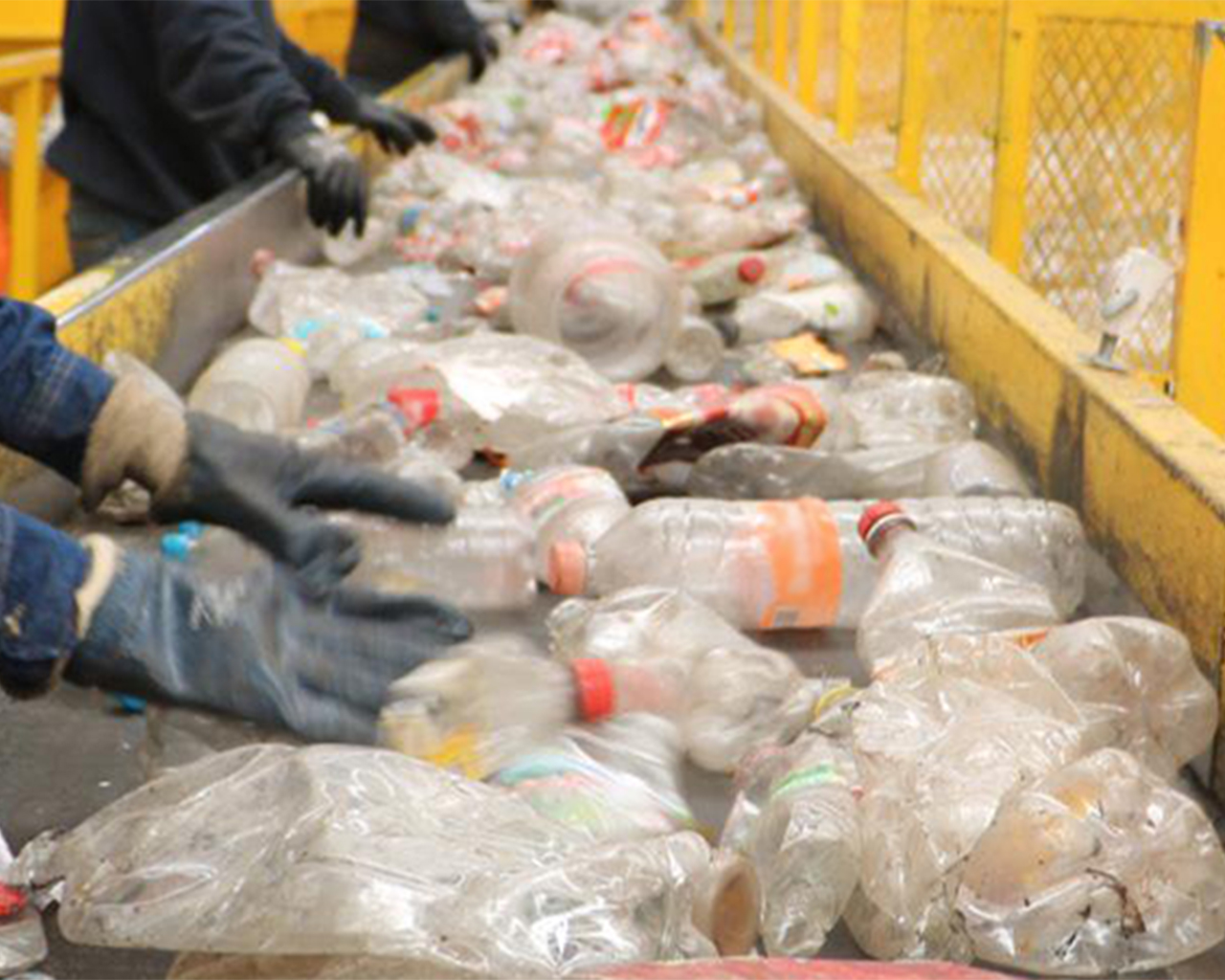 Des travailleurs collectent des bouteilles de Coca-Cola usagées pour le recyclage