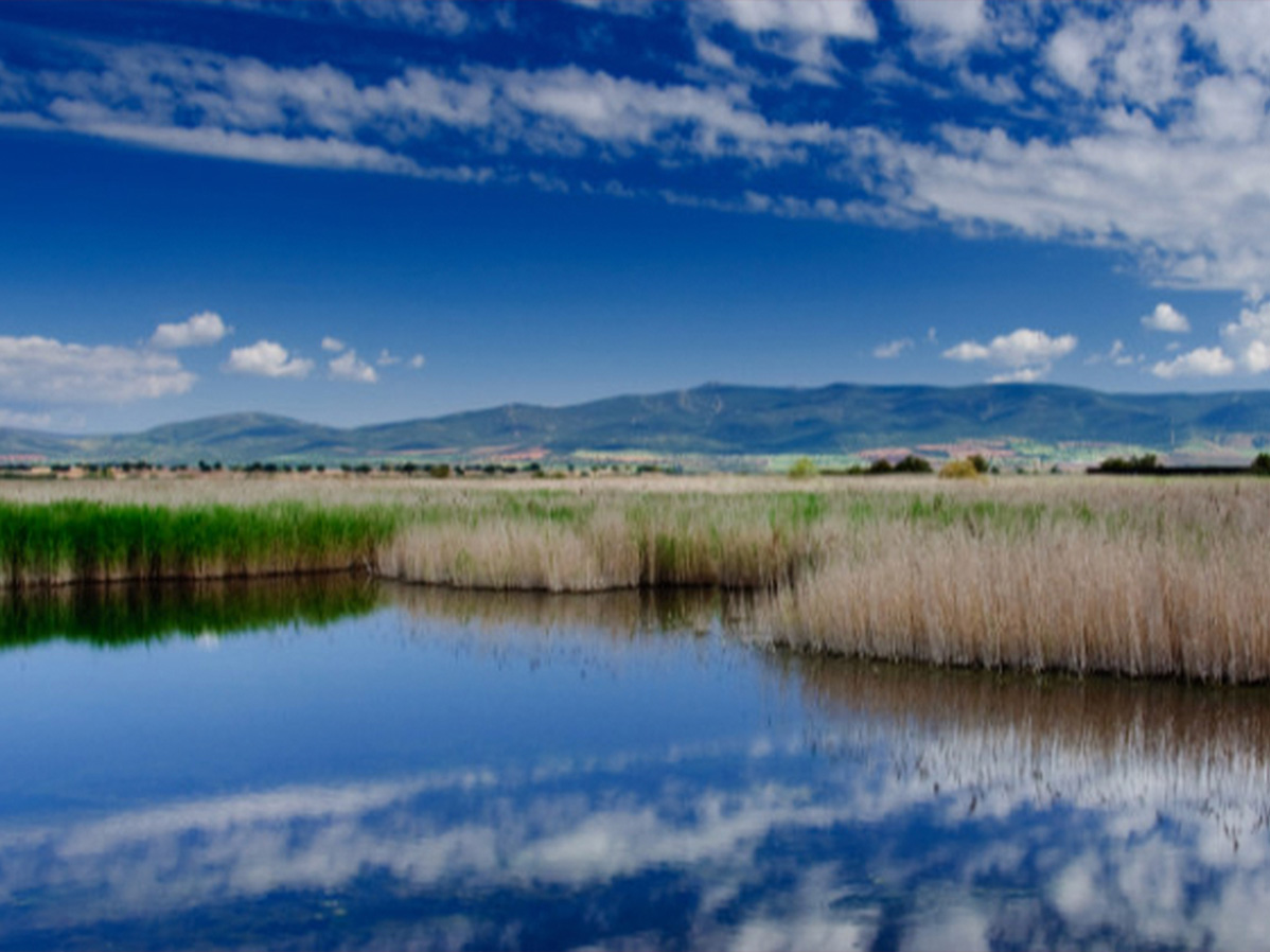 Paisaje natural con un lago y montañas.