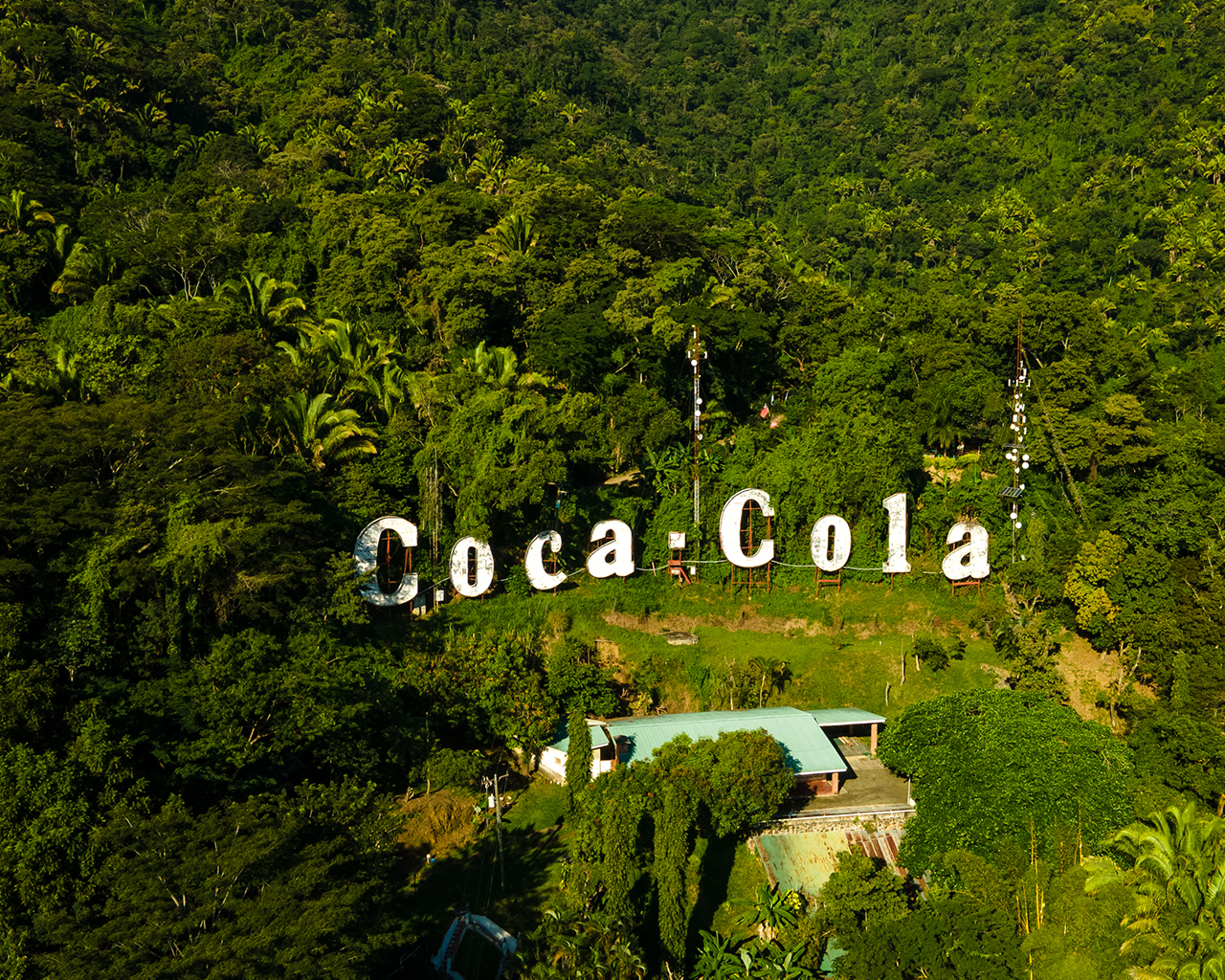 Ein weißes Coca-Cola-Logo in der Mitte des Waldes