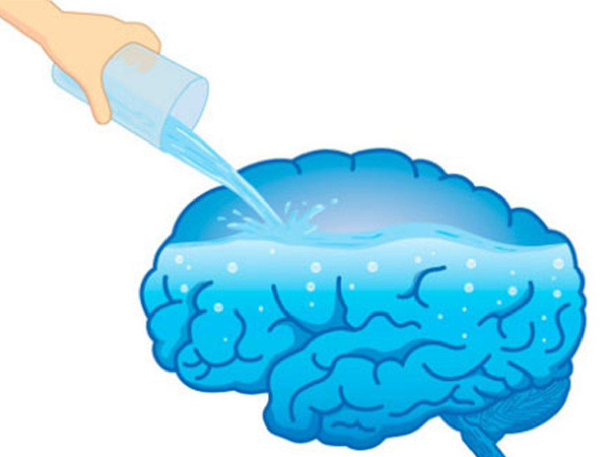 Schematische Darstellung des Gehirns, in das Wasser aus einem Glas gegossen wird.