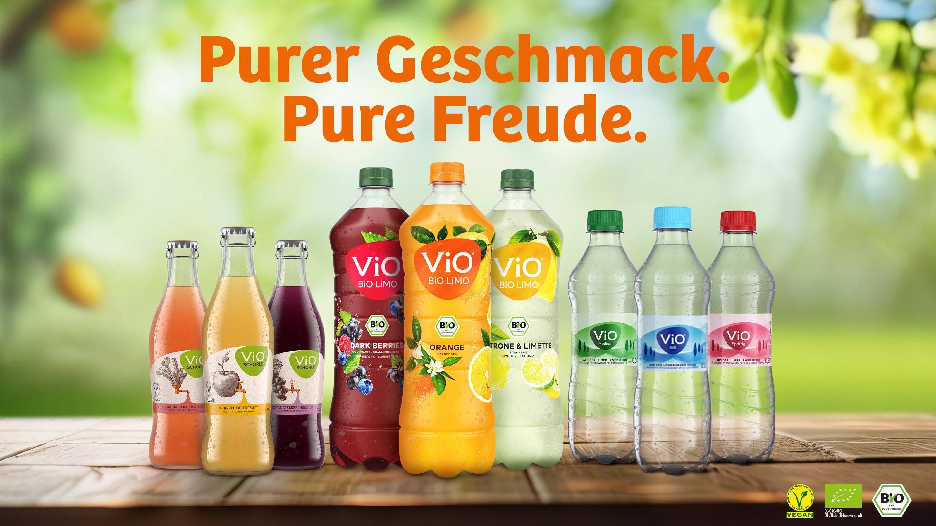 vio header image