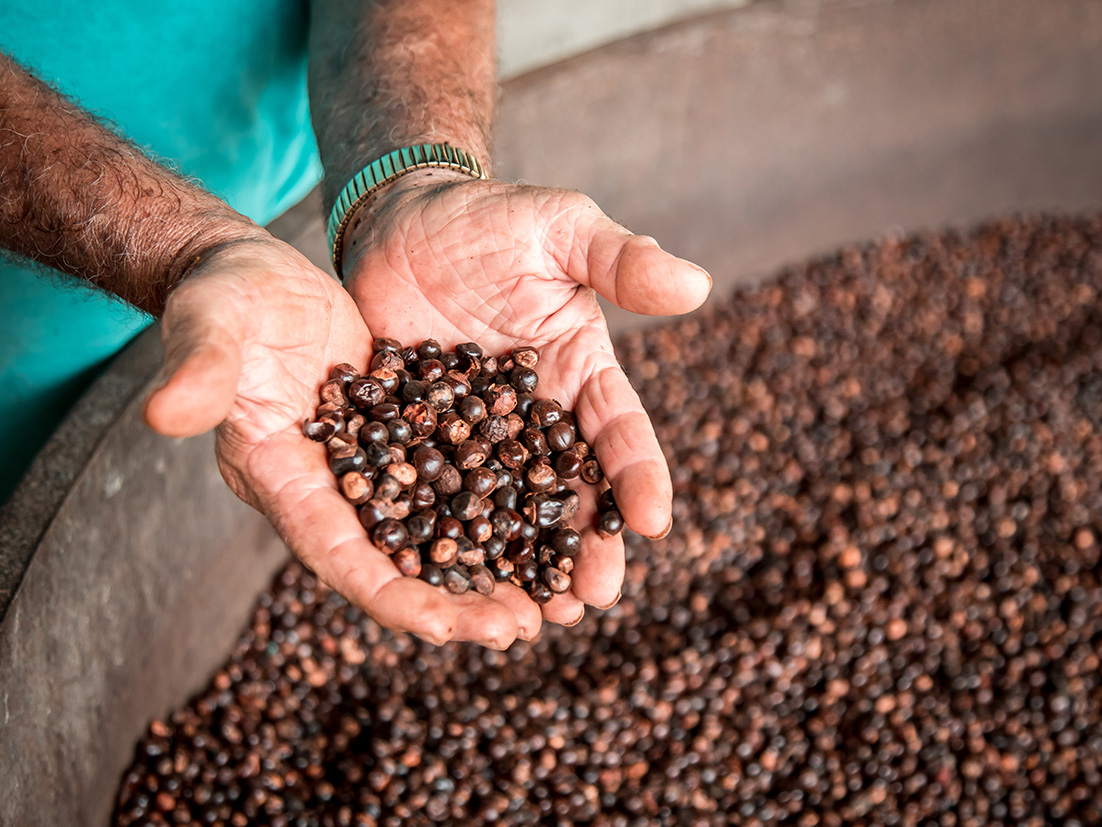 Nuestras diferentes variantes de productos de coca-cola