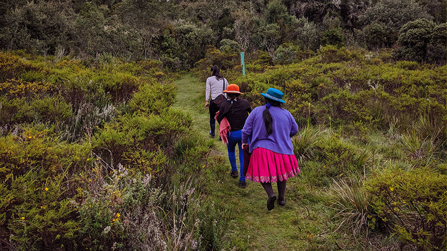 Tres mujeres de espaldas caminan entre abundante vegetación