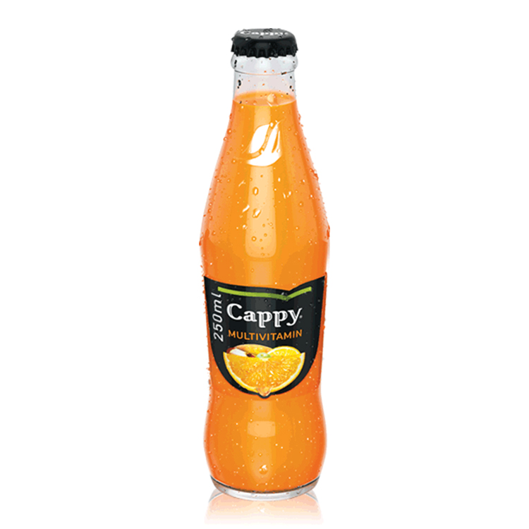 Cappy Multivitamin, multivitamiini mahl, pudel 250ml