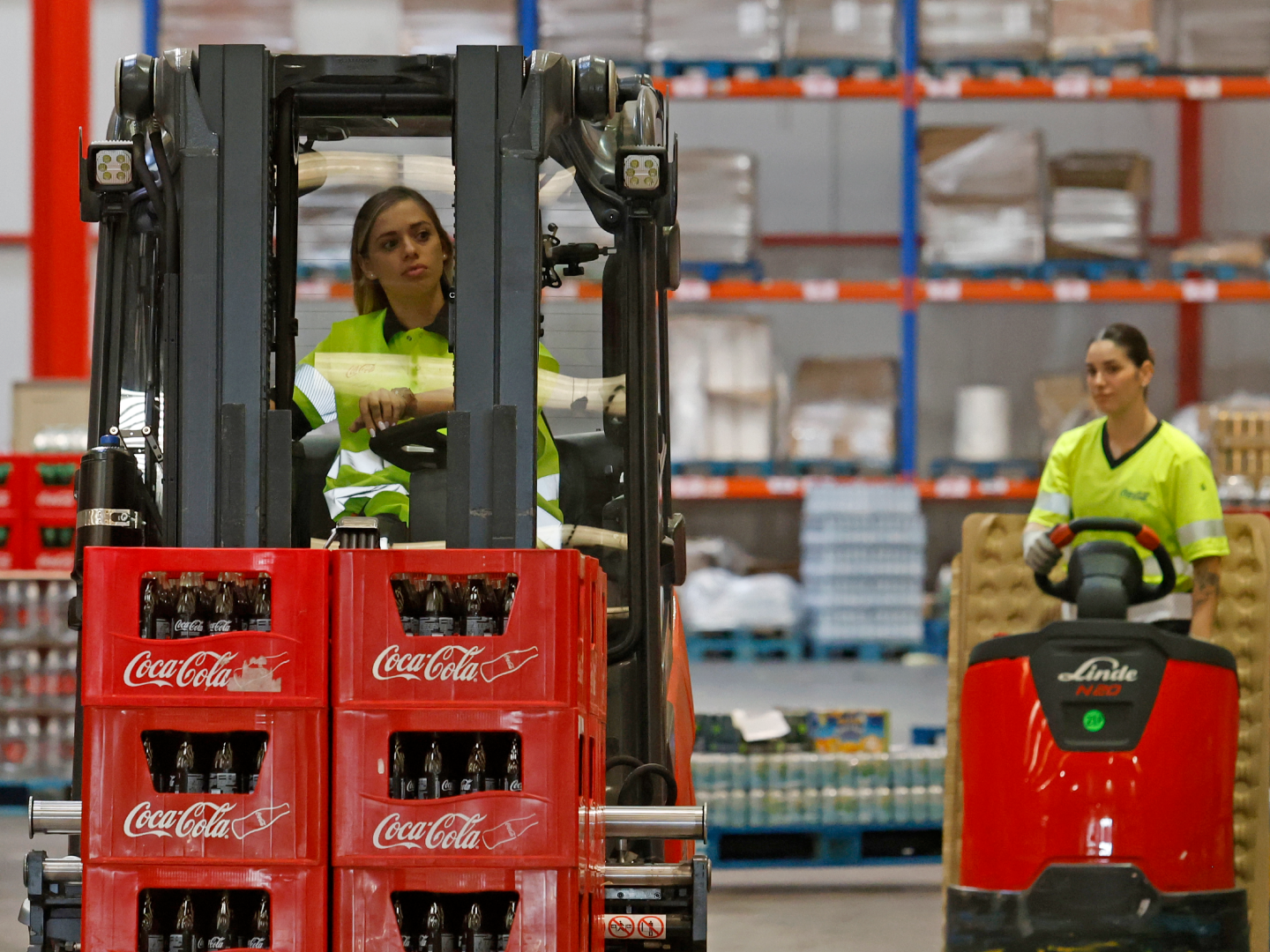 Estudio de Impacto Socioeconómico