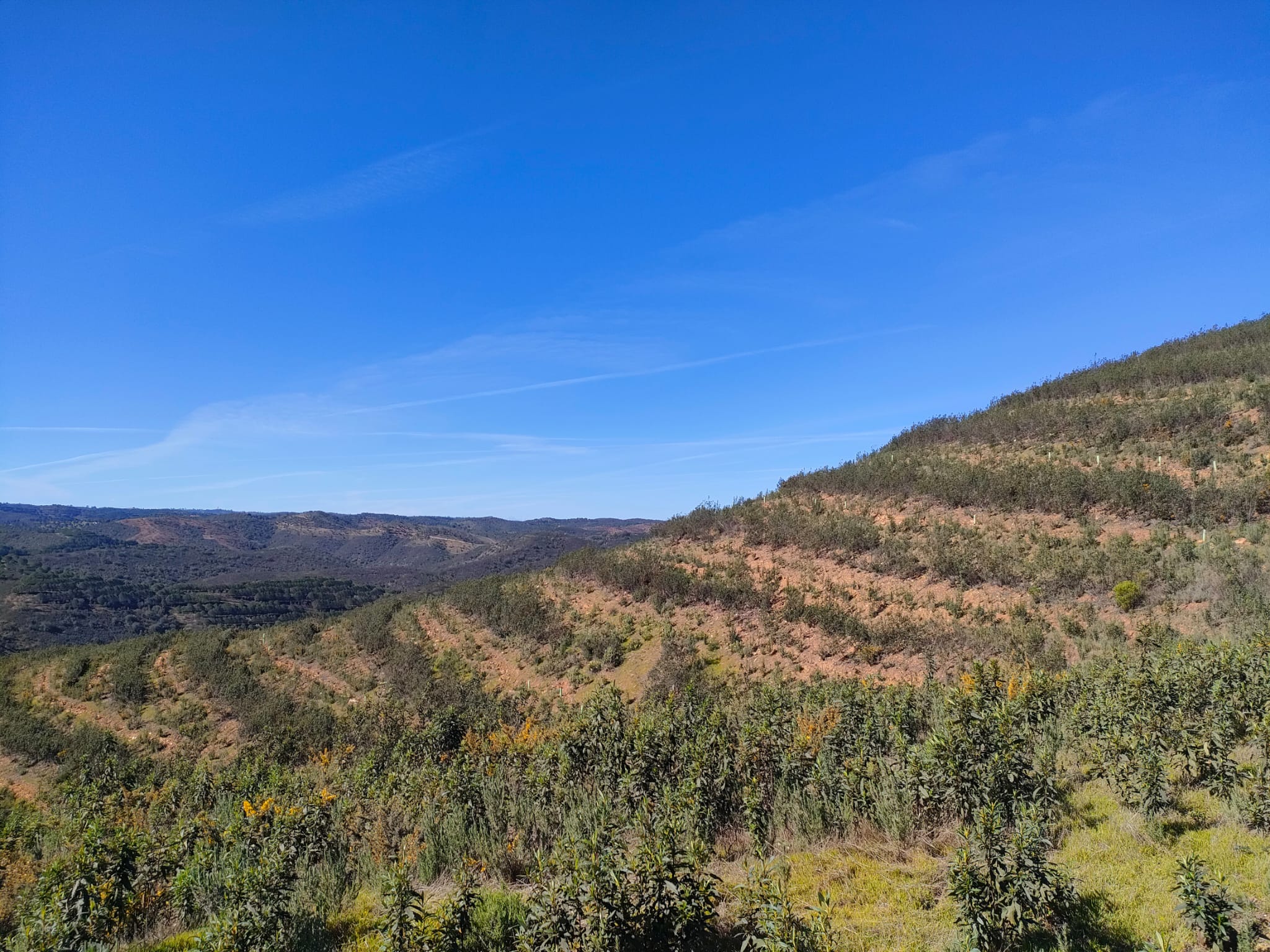 Paisagem de colinas cobertas de vegetação sob um céu azul claro.