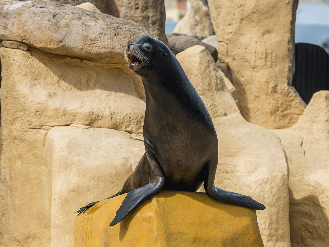 Marineland Catalunya