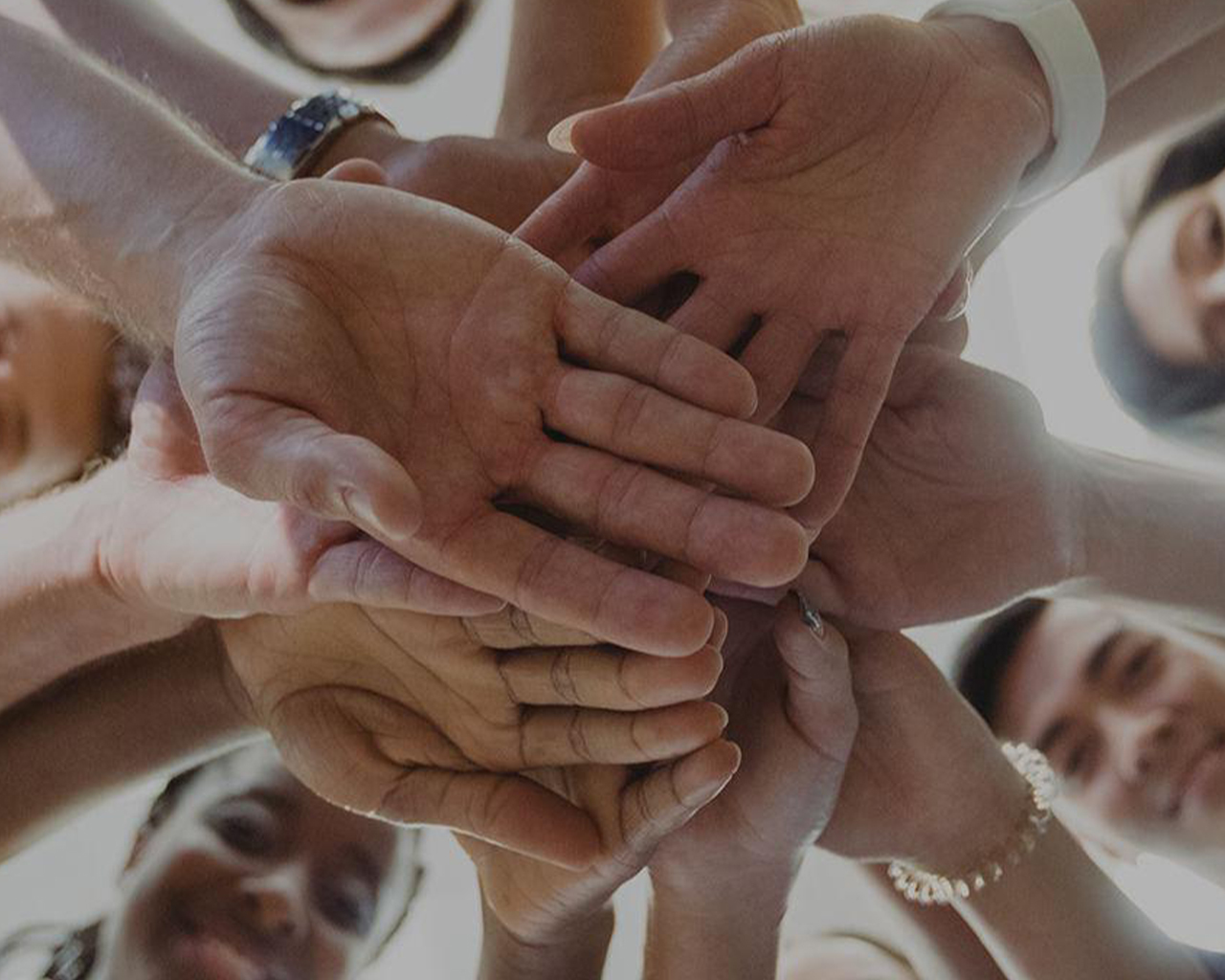 promovemos la inclusión y diversidad
