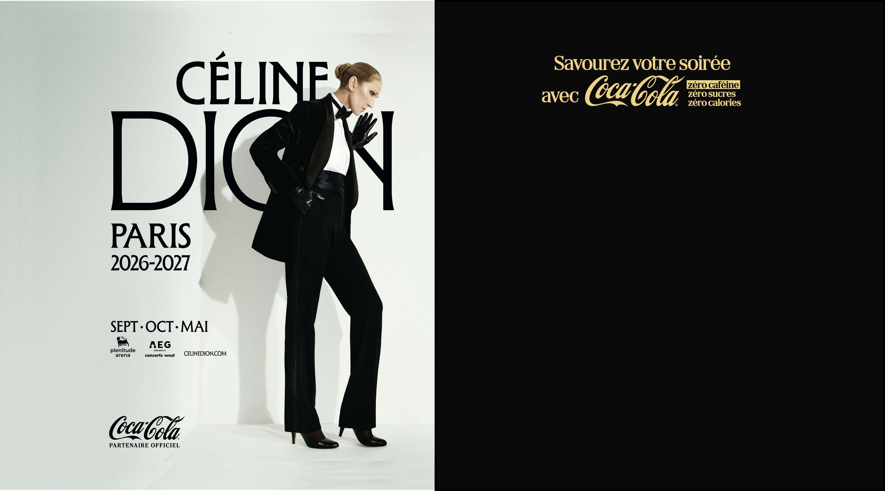 Tente de gagner tes places pour un des concerts de Céline Dion en Mai 2027