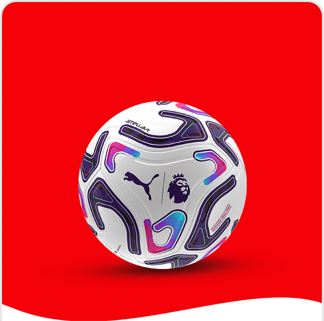 Image of Puma Premier League Football