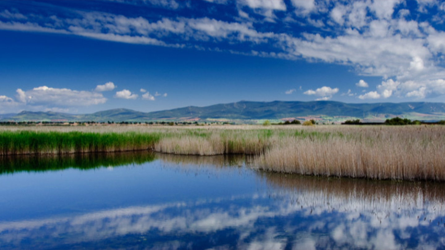 Natural landscape with a lake and mountains