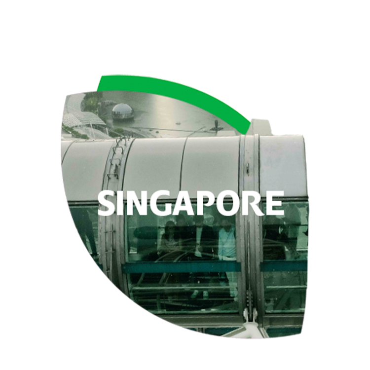 Capsula del Singapore Flyer a Singapore.
