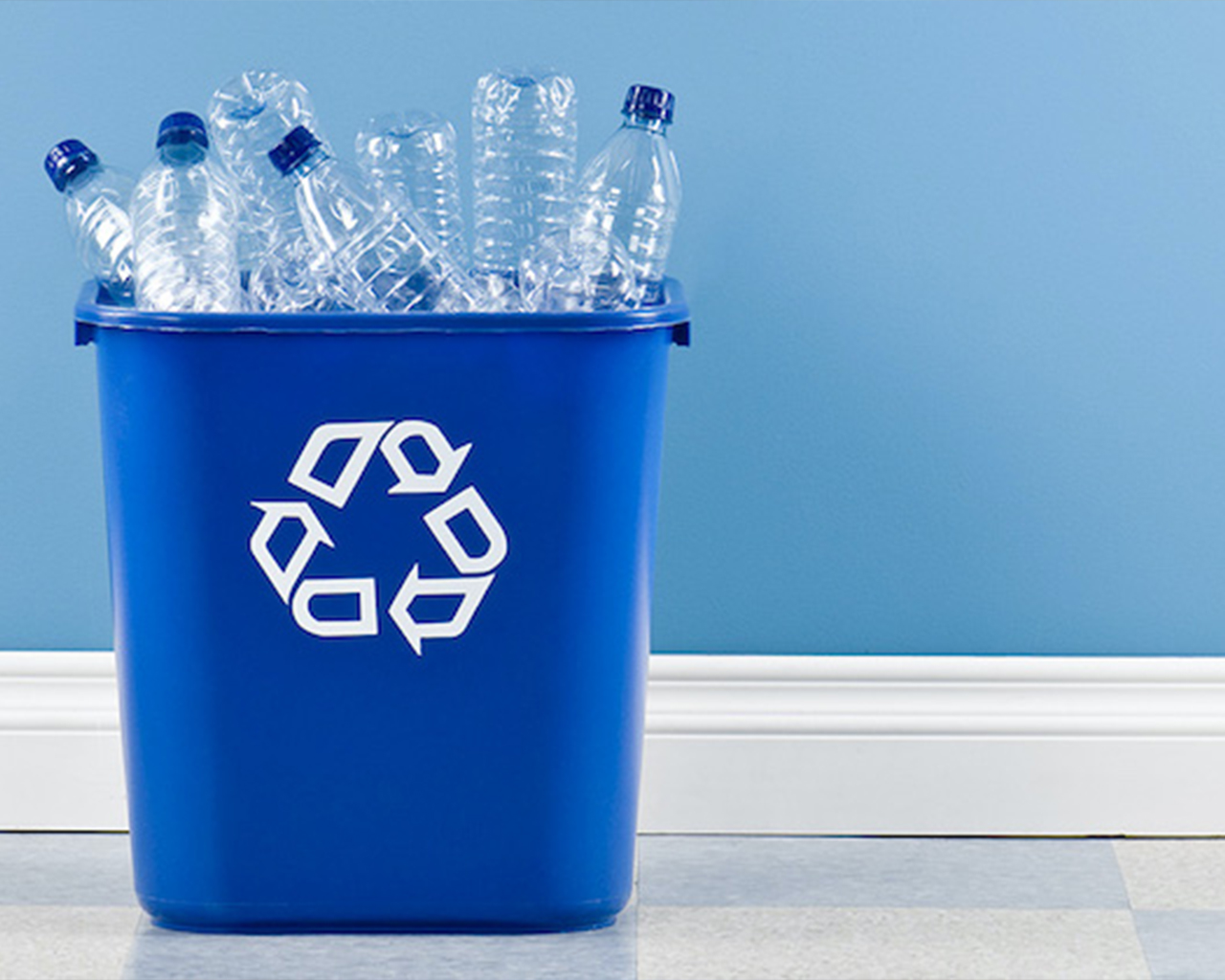 Cestino della differenziata con simbolo del riciclo e bottiglie di plastica al suo interno.