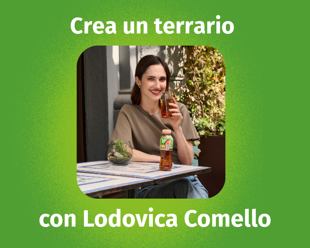Crea un terrario con Lodovica Comello - 1