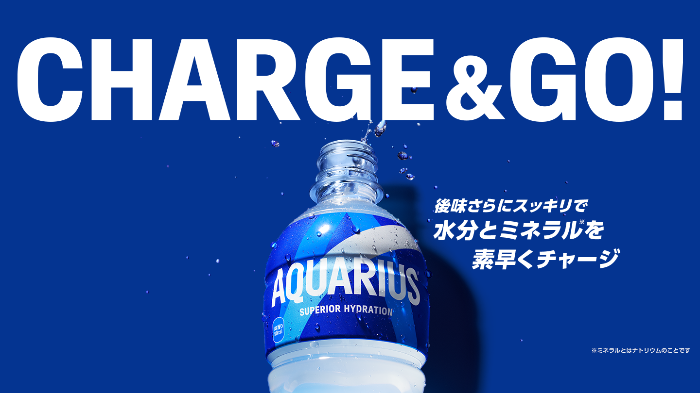 CHARGE＆GO