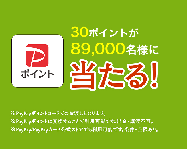 PayPayポイント 30ポイント