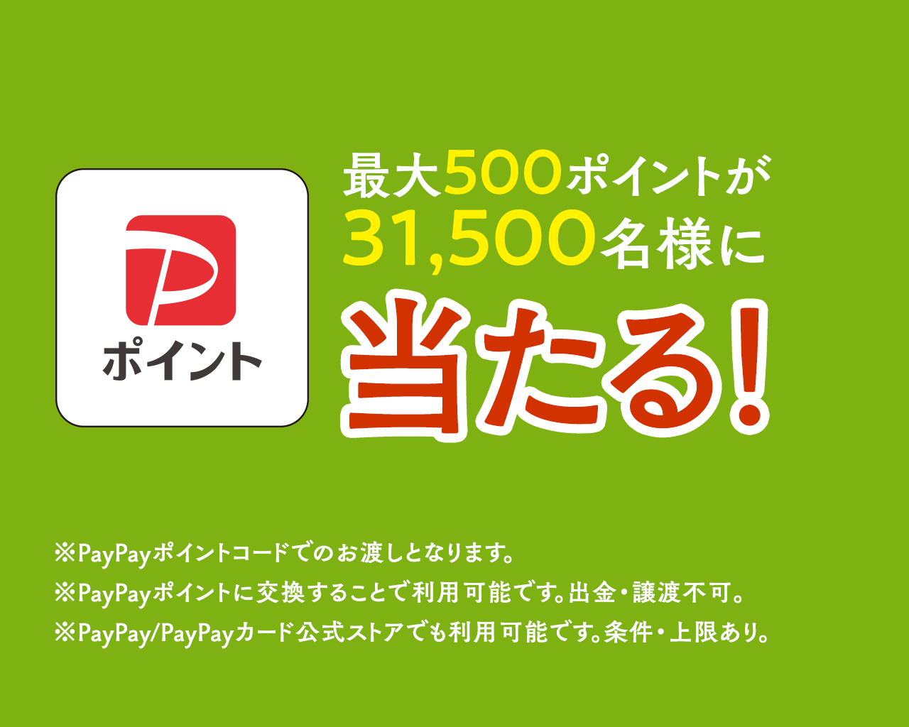PayPayポイント 最大500ポイント