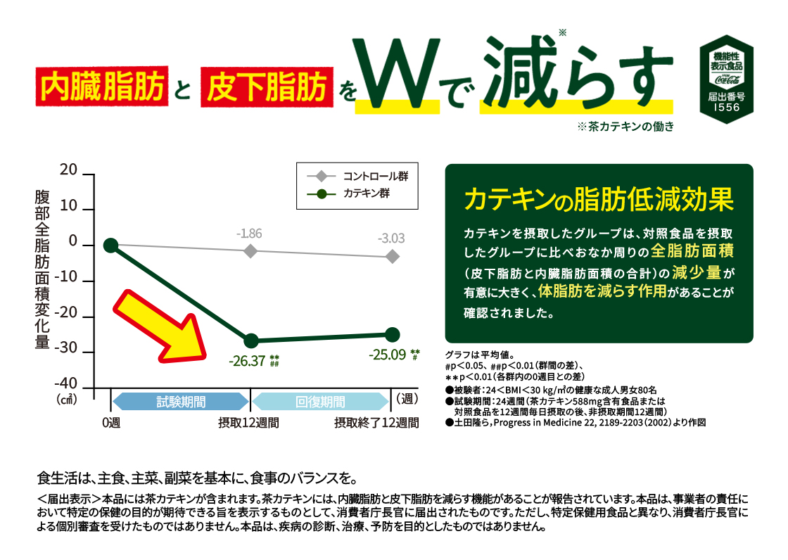 内蔵脂肪と皮下脂肪をWで減らす※茶カテキンの働き カテキンの脂肪低減効果、カテキンを接種したグループは、対照食品を接種したグループに比べおなが周りの全脂肪面積（皮下脂肪と内臓脂肪面積の合計）の減少量が有意に大きく、体脂肪を減らす作用があることが確認されました。