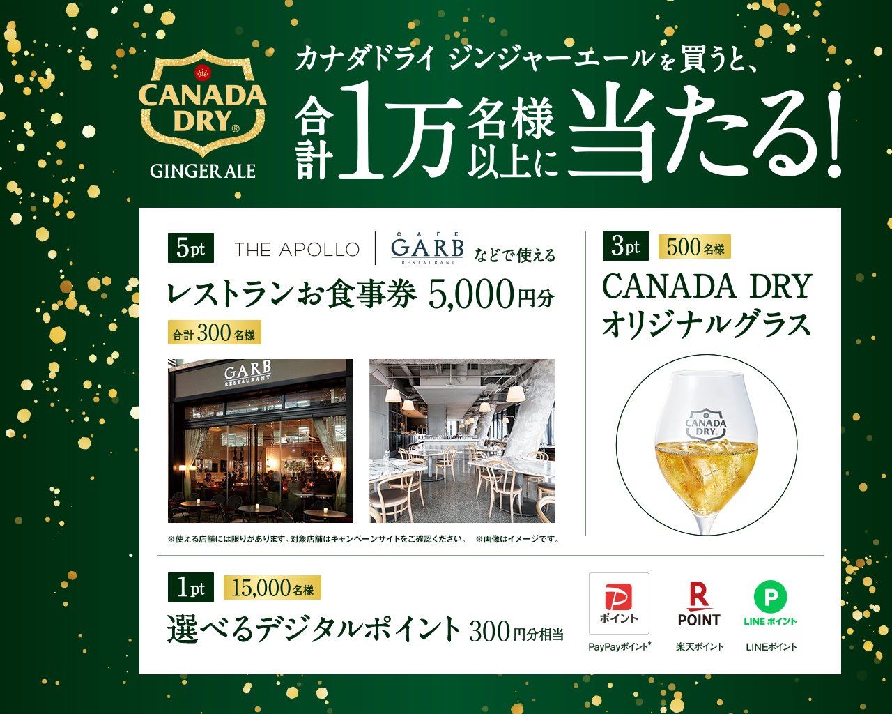 華やかなひとときに乾杯！合計1万名様以上に当たる！