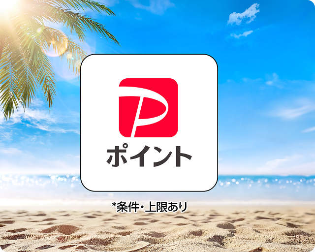 【1ポイントコース】PayPayポイント 100ポイント　1,000名様