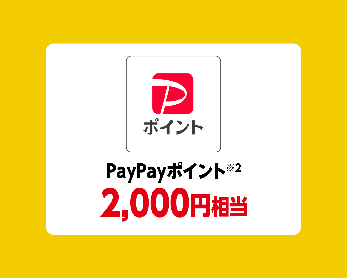 PayPayポイント2000円相当