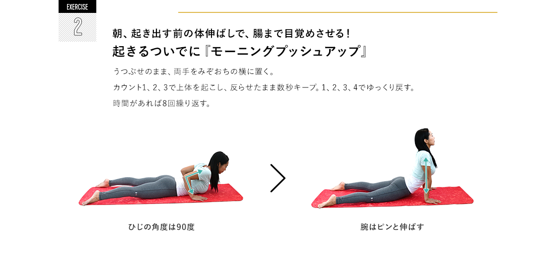 EXERCISE 2 朝、起き出す前の体伸ばしで、腸まで目覚めさせる！ 起きるついでに『モーニングプッシュアップ』うつぶせのまま、両手をみぞおちの横に置く。カウント1、2、3で上体を起こし、反らせたまま数秒キープ。1、2、3、4でゆっくり戻す。時間があれば8回繰り返す。ひじの角度は90度 腕はピンと伸ばす