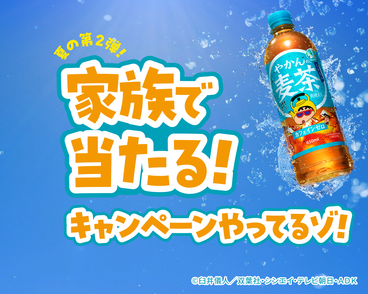 夏の第2弾！家族で当たる！キャンペーンやってるゾ！