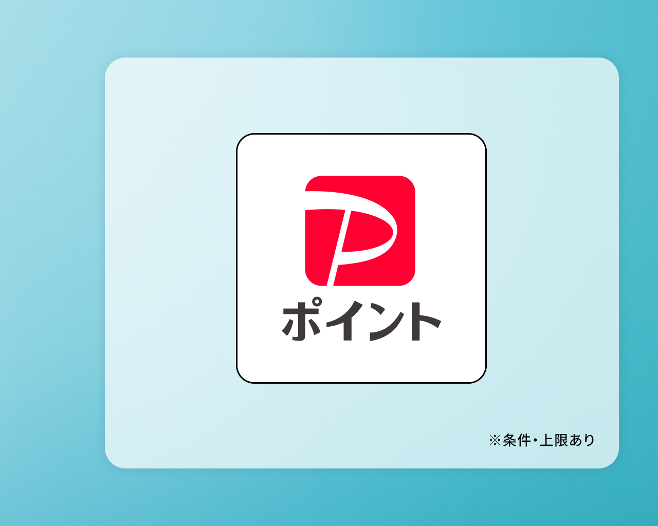 PayPayポイント500円分
