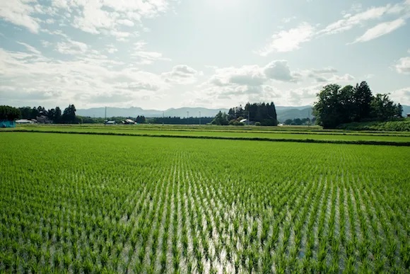 田園風景